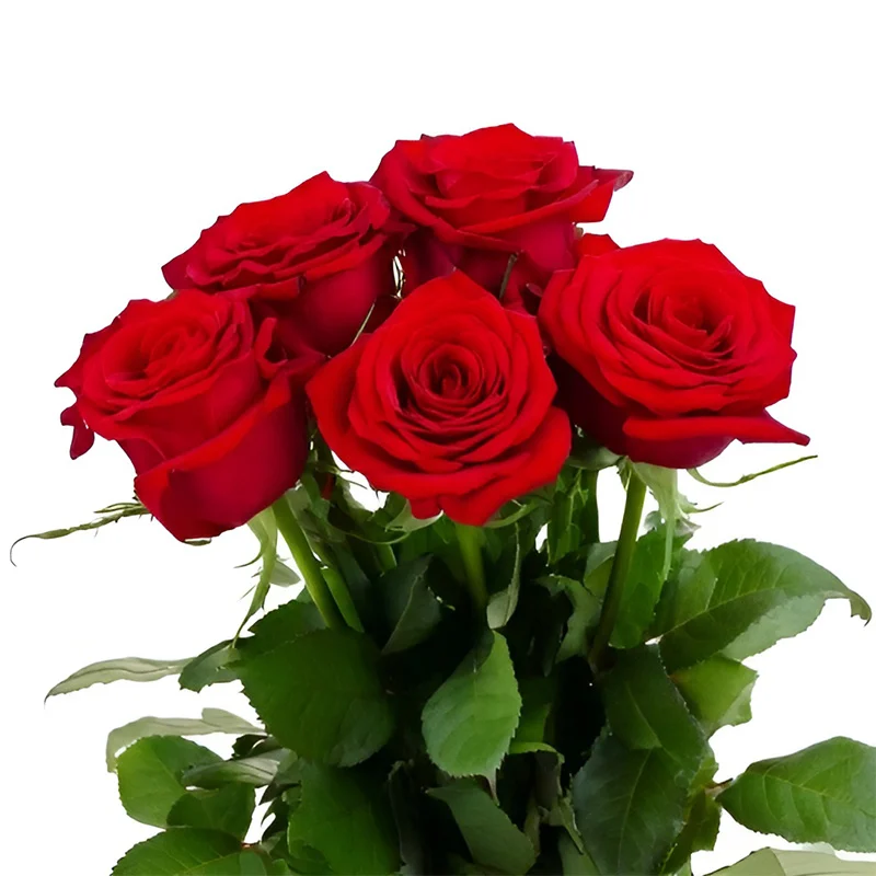 Christmas bouquet