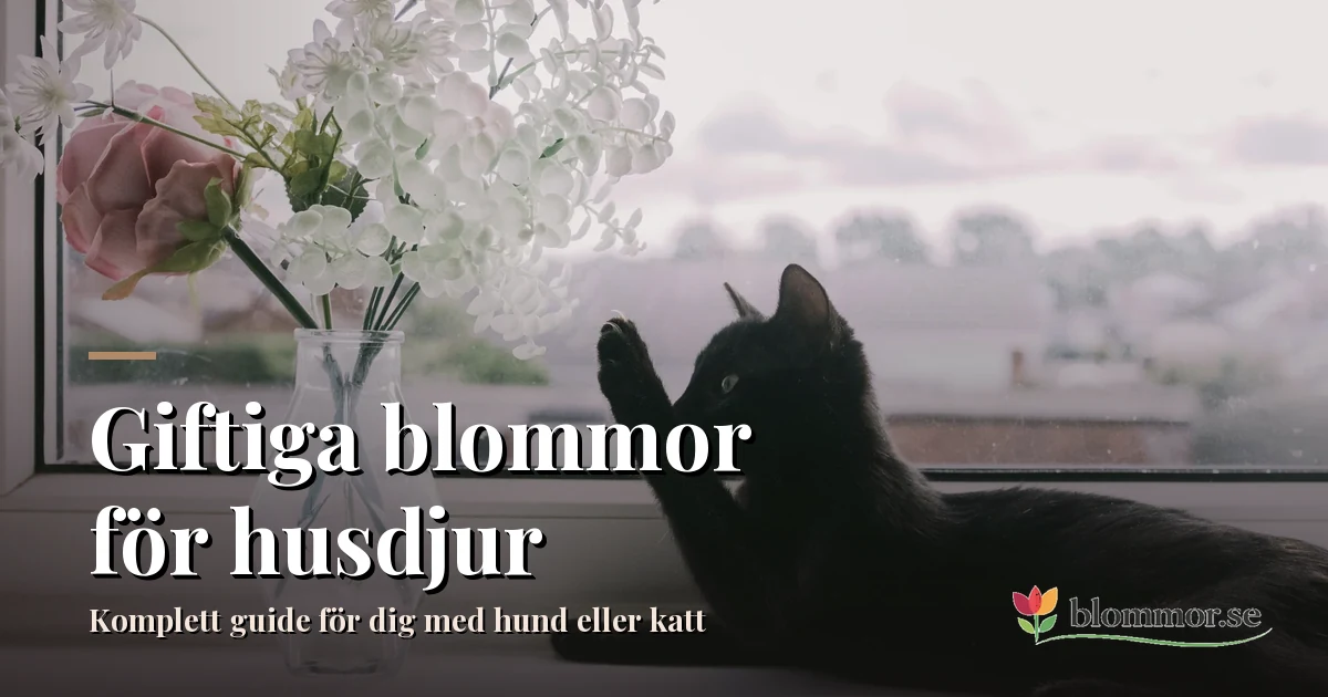 Poisonous flowers for pets